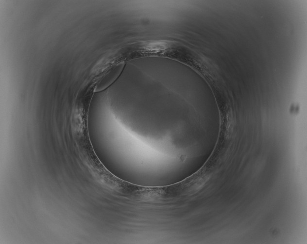 X0000112961394200908271105