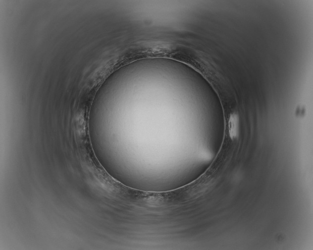 X0000112961395200908271105