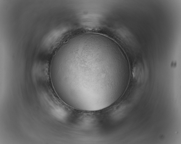 X0000112961396200908271105