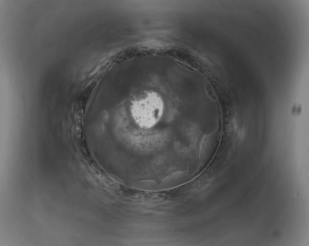 X0000112961397200908271105