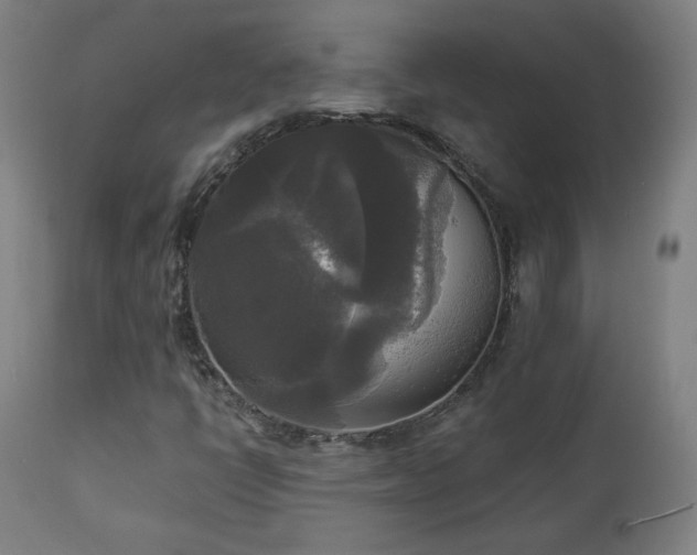 X0000112961398200908271105