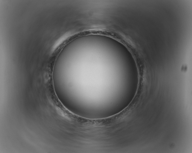 X0000112961400200908271105