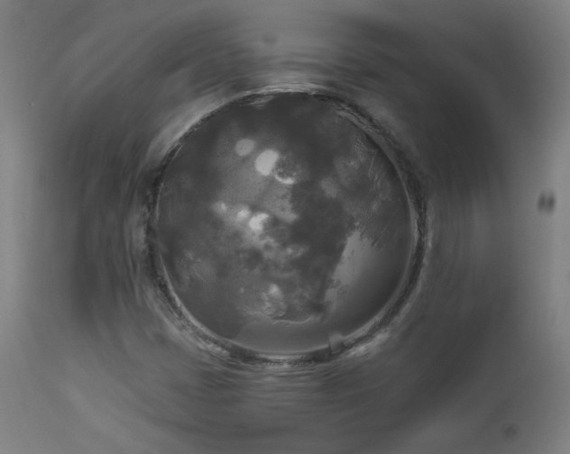 X0000112961401200908271105