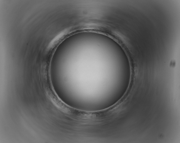 X0000112961403200908271105