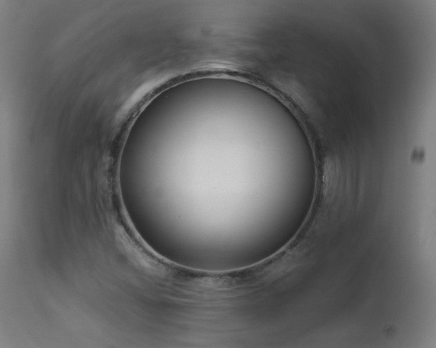 X0000112961404200908271105