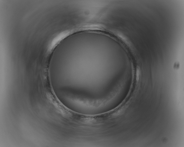 X0000112961405200908271105