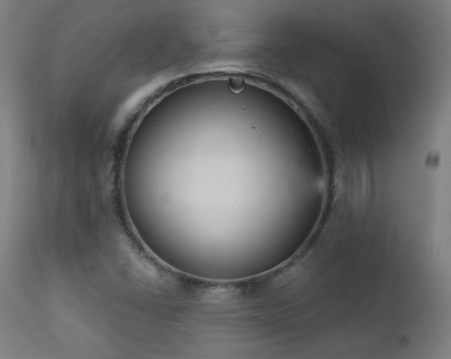 X0000112961406200908271105