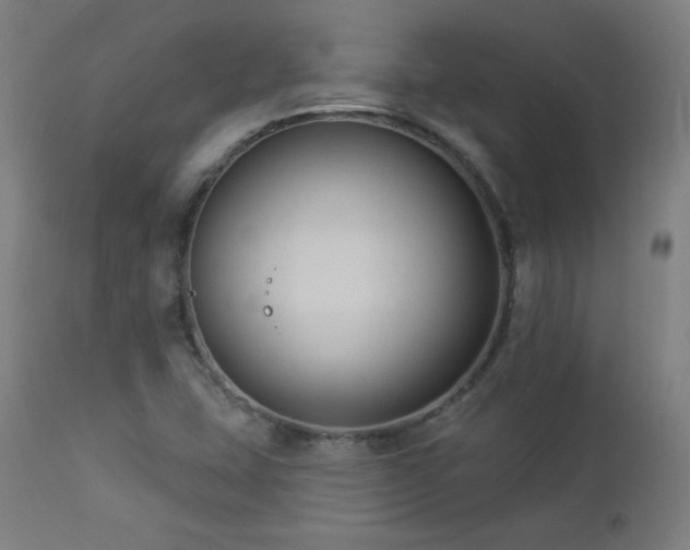 X0000112961407200908271105