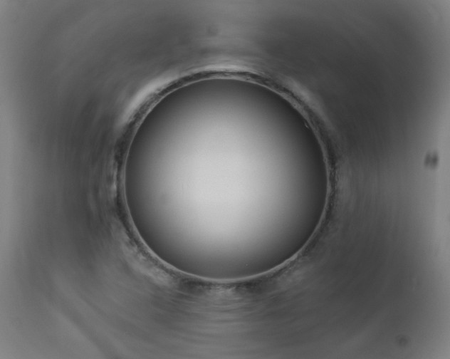 X0000112961408200908271105