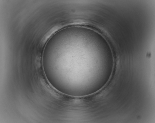 X0000112961409200908271105