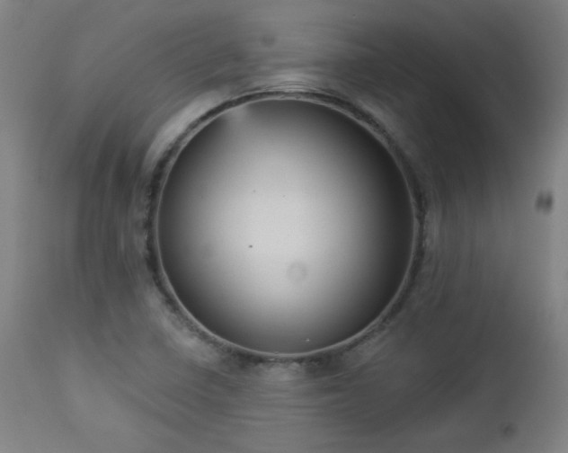 X0000112961410200908271105