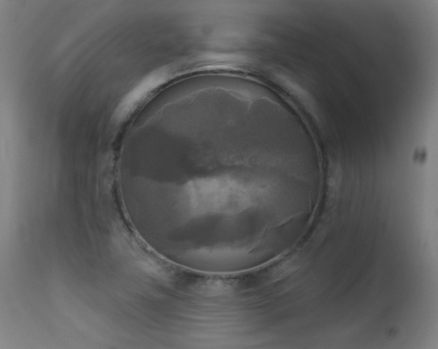 X0000112961411200908271105