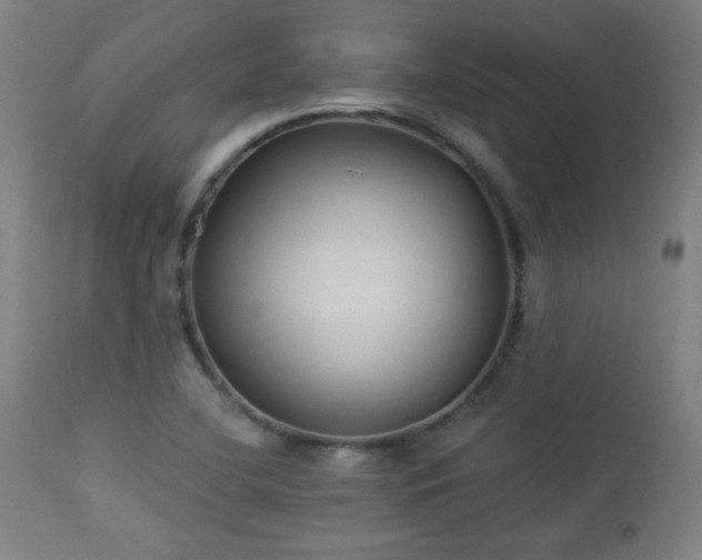 X0000112961412200908271105