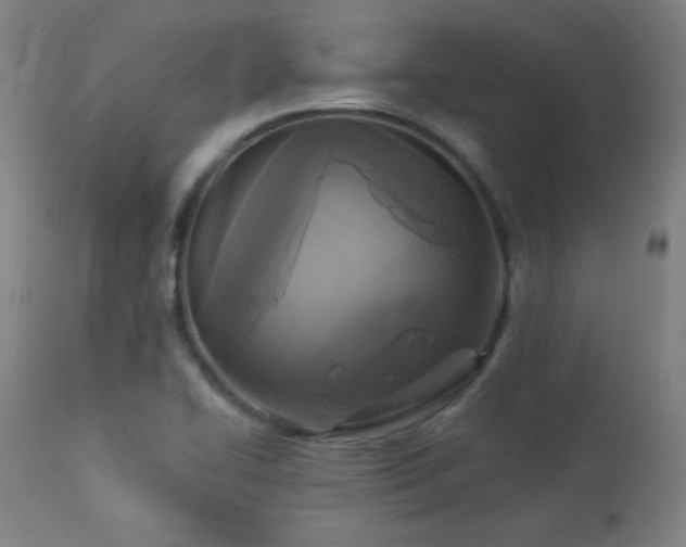 X0000112961414200908271105