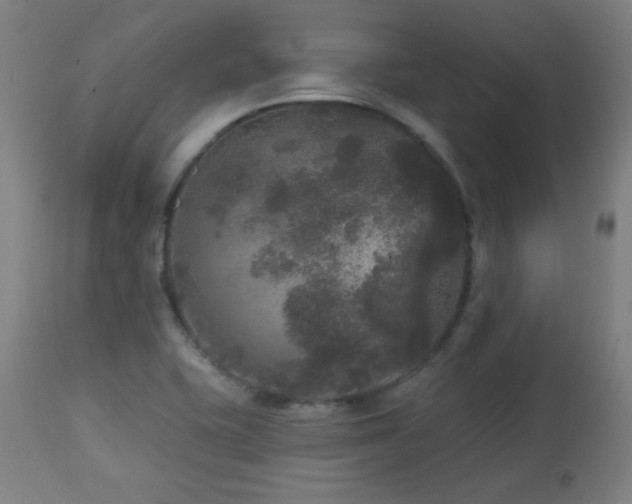 X0000112961415200908271105