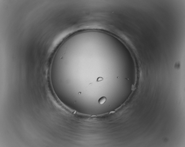 X0000112961416200908271105