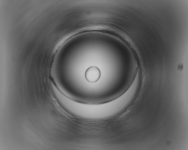 X0000112961417200908271105