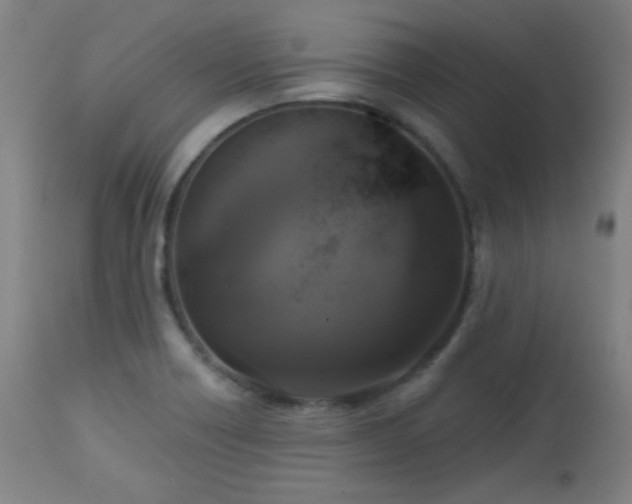 X0000112961418200908271105