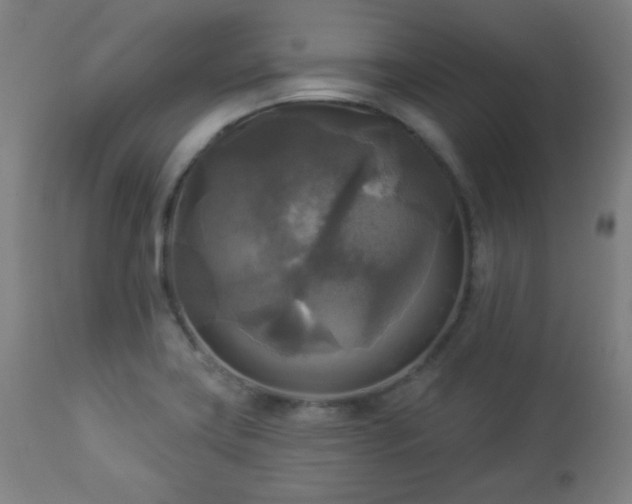 X0000112961419200908271105