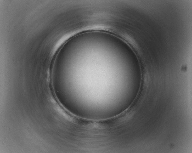 X0000112961420200908271105