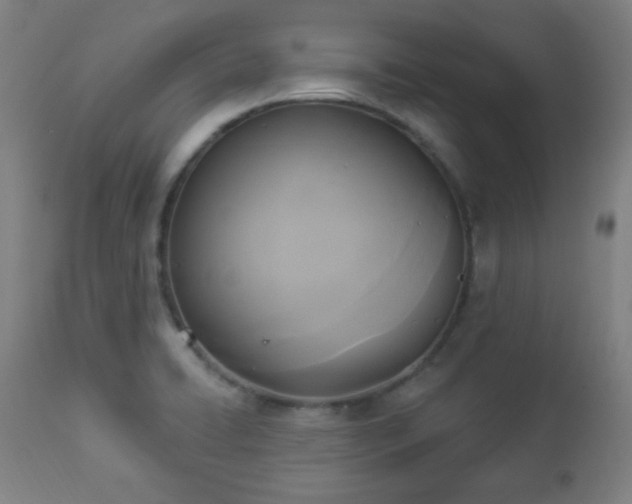 X0000112961422200908271105