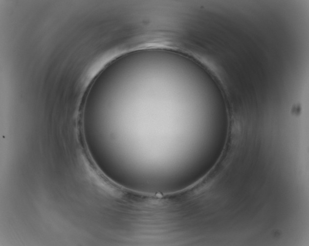 X0000112961423200908271105