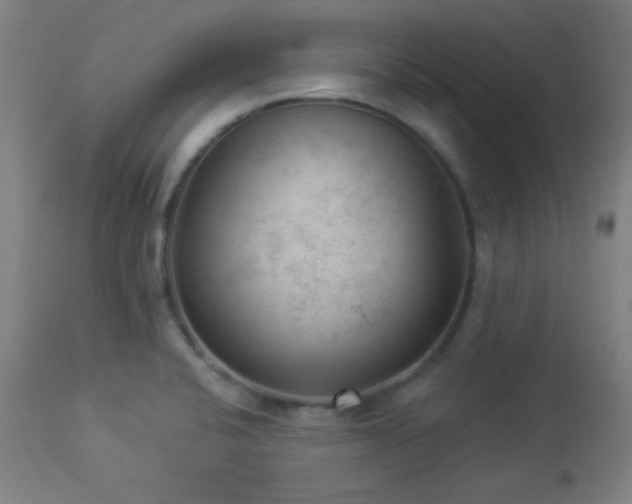 X0000112961424200908271105