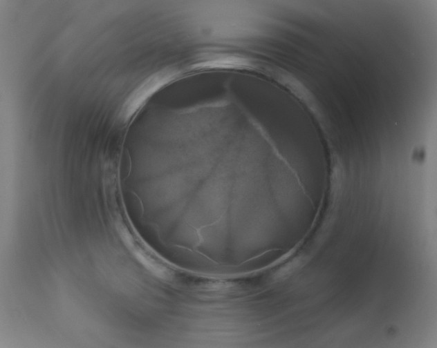 X0000112961425200908271105