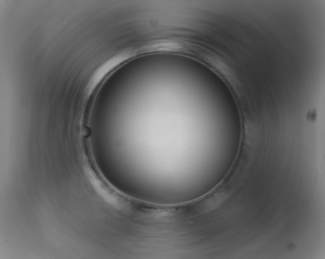 X0000112961426200908271105