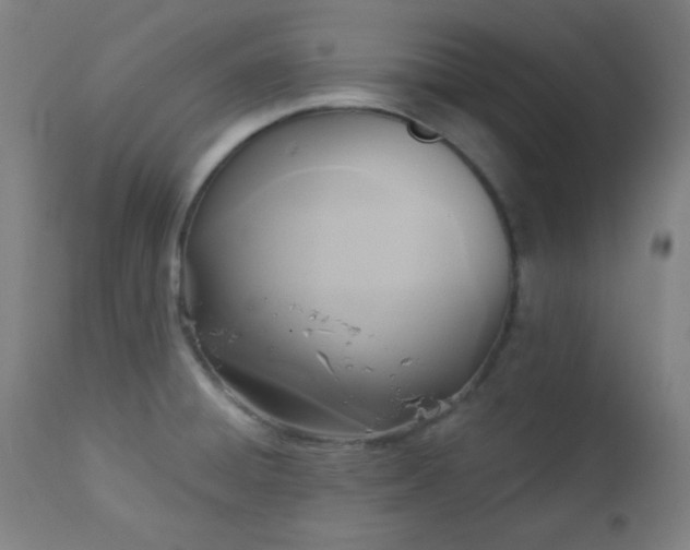 X0000112961428200908271105