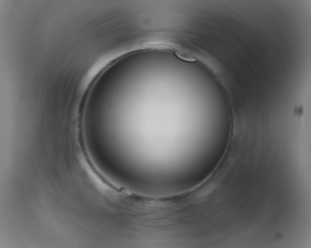 X0000112961430200908271105