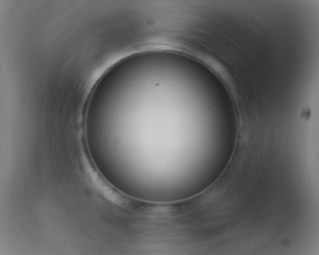 X0000112961431200908271105