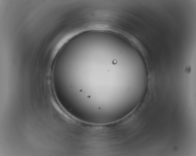 X0000112961432200908271105