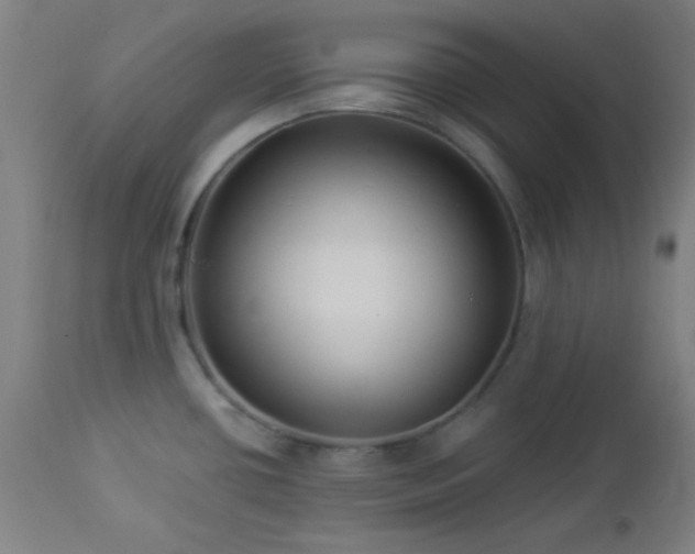 X0000112961434200908271105