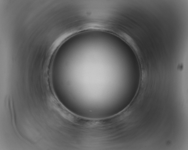 X0000112961435200908271105