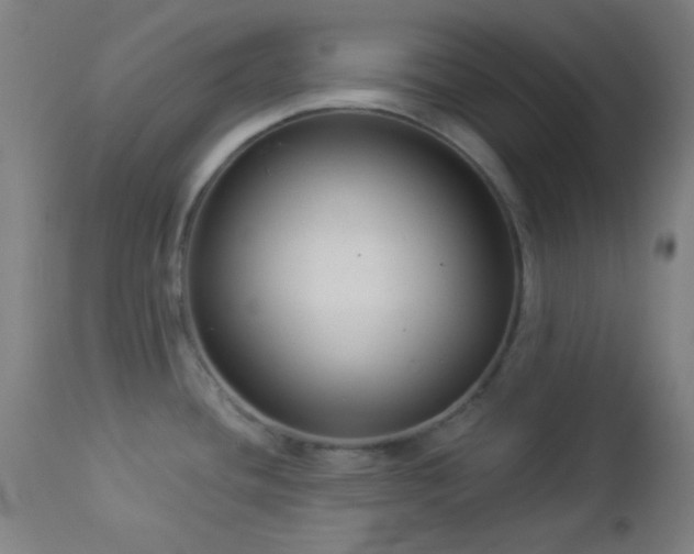 X0000112961436200908271106