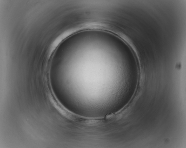 X0000112961437200908271106