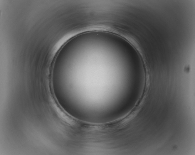 X0000112961438200908271106