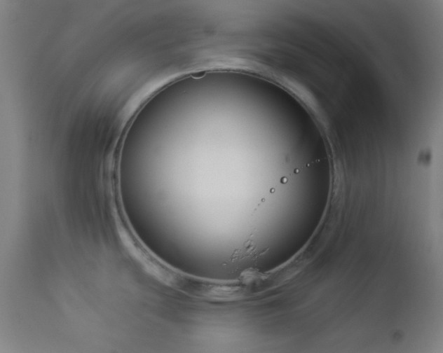 X0000112961439200908271106