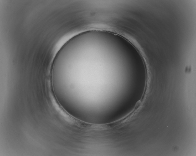 X0000112961440200908271106