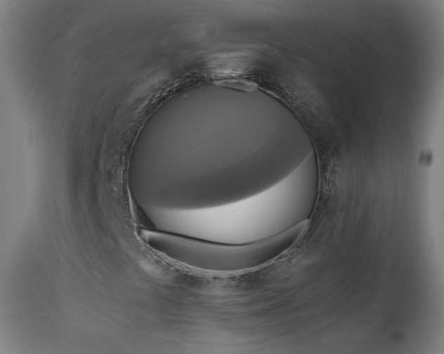 X0000112961441200908271105