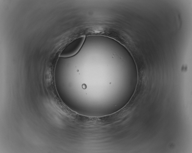 X0000112961442200908271105