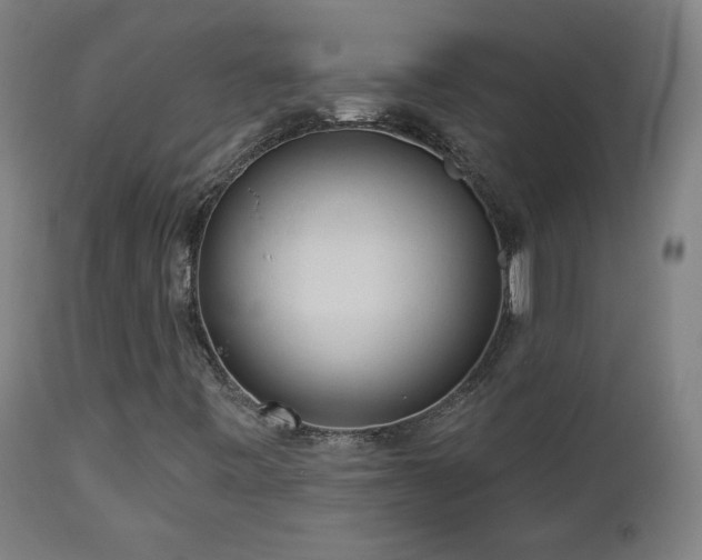 X0000112961443200908271105