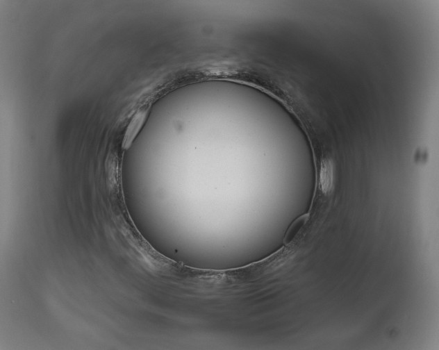 X0000112961444200908271105