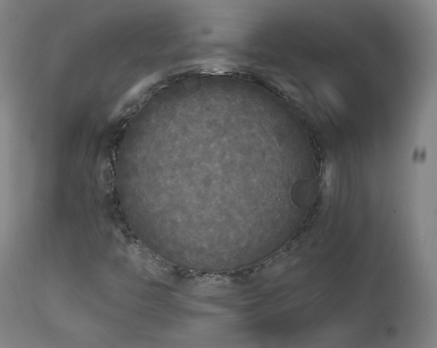 X0000112961446200908271104