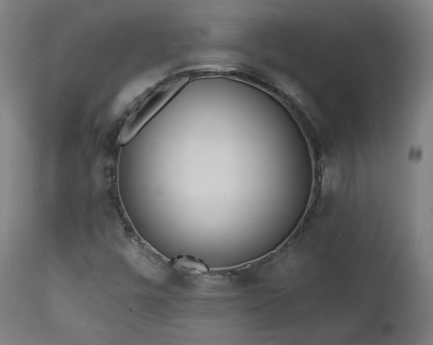 X0000112961448200908271104