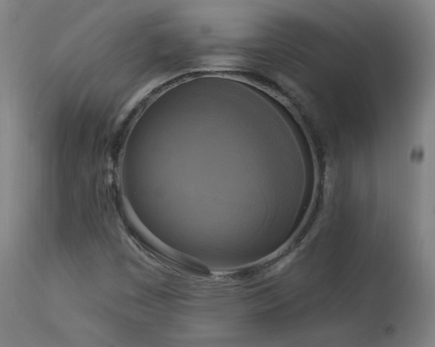 X0000112961449200908271104