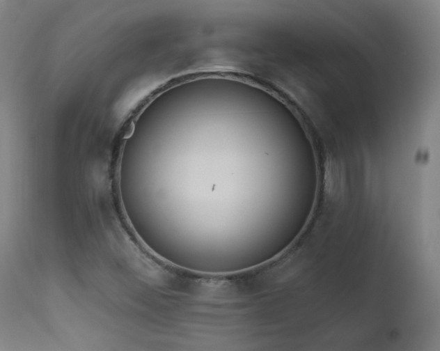 X0000112961452200908271104
