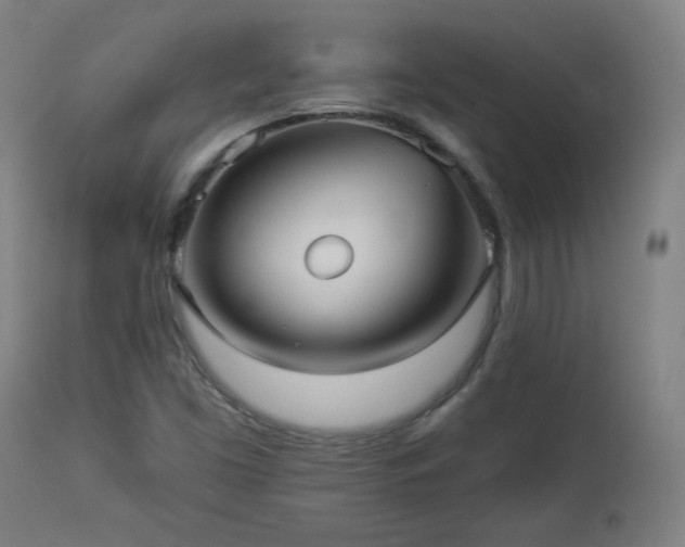 X0000112961453200908271104