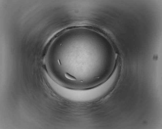 X0000112961457200908271104